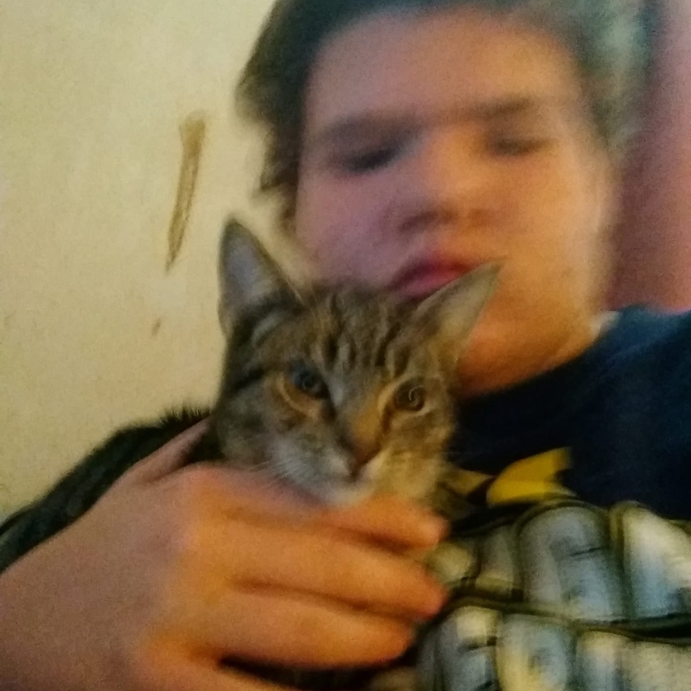 Meet your Posher, Jesse